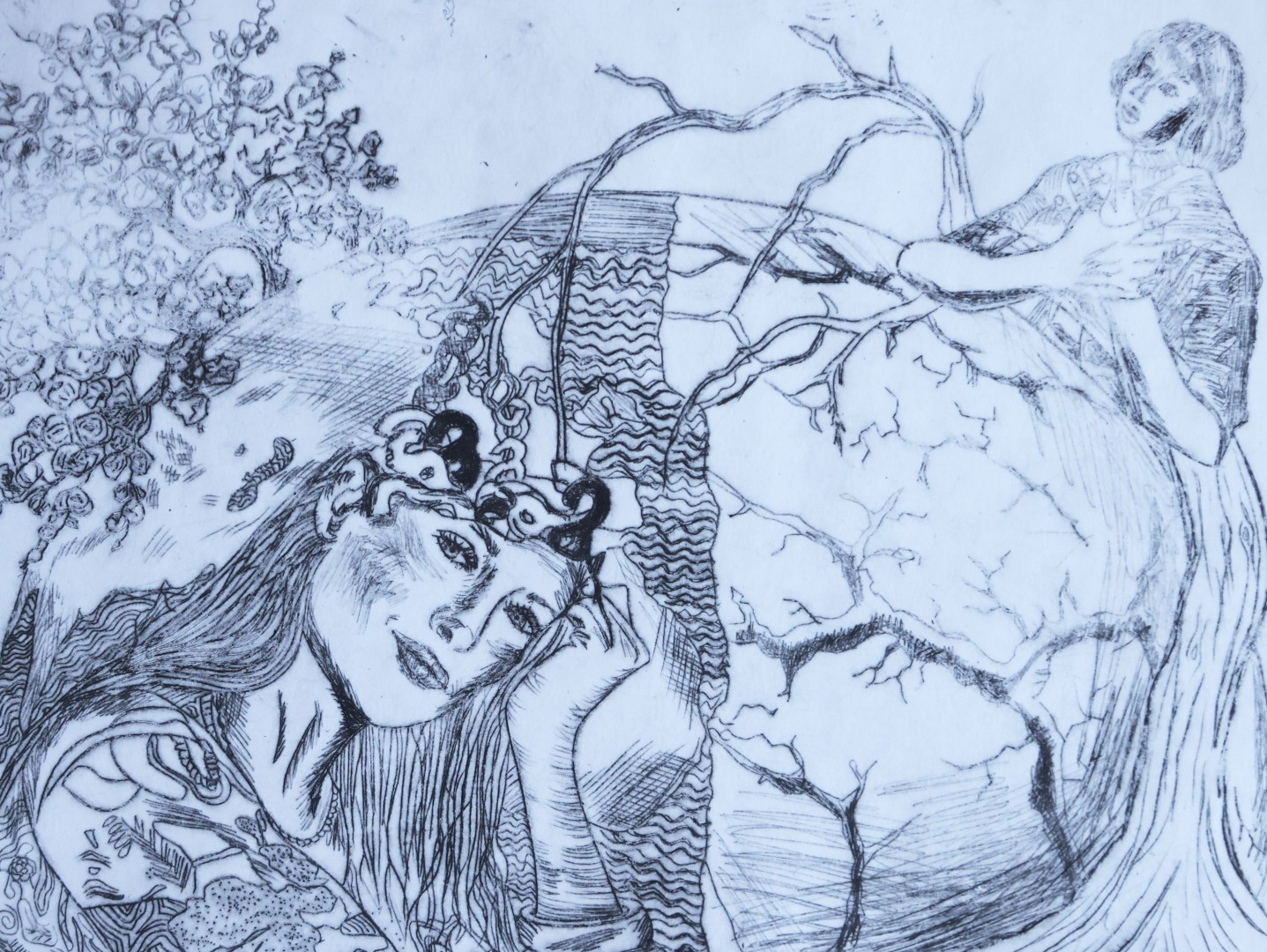 Impression 5